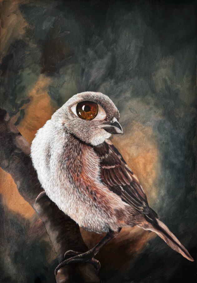 obraz ptaka z ludzkim okiem